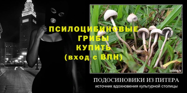 круглые Аркадак