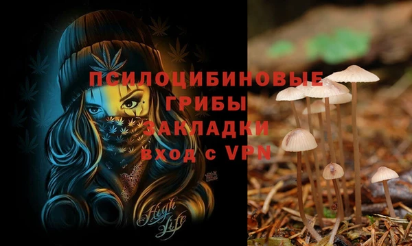 дживик Алзамай