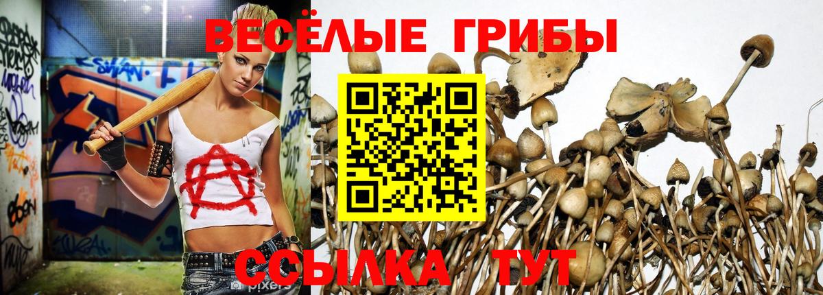 Галлюциногенные грибы мицелий  Псилоцибиновые грибы мицелий  Вход с VPN  Мытищи 