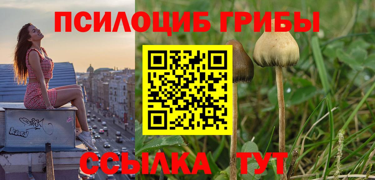 Псилоцибиновые грибы GOLDEN TEACHER Мытищи